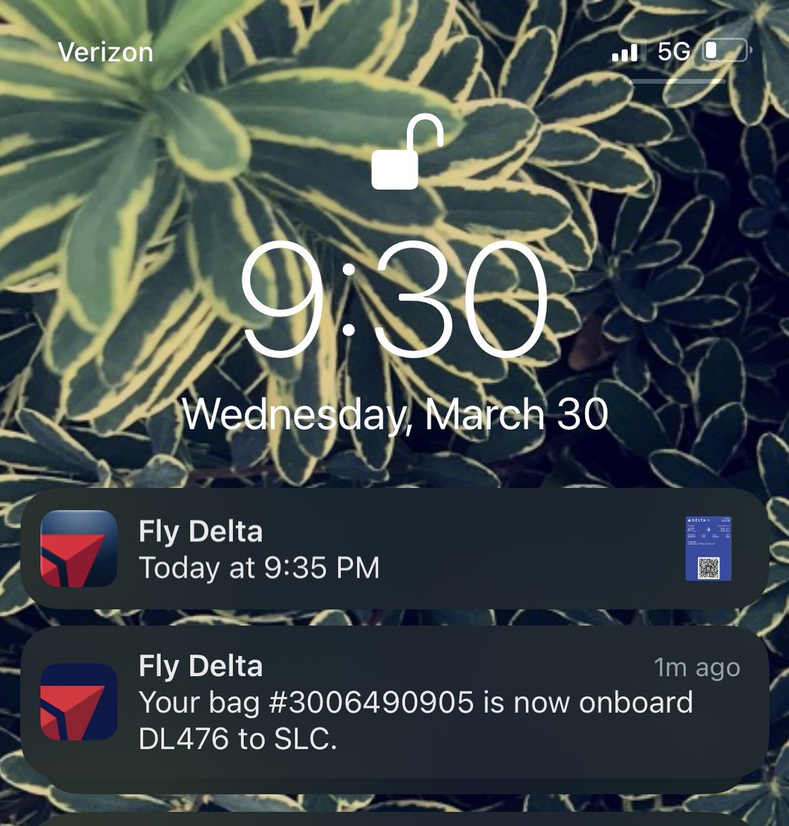 jjkillillay's tweet photo. Mad props to @Delta for making traveling as seamless as possible. From navigating airports, to updates on your bags location. They’ve really done the most to supply peace of mind. 👏🏼✈️ #keepclimbing https://t.co/CEy3z5WDm8
