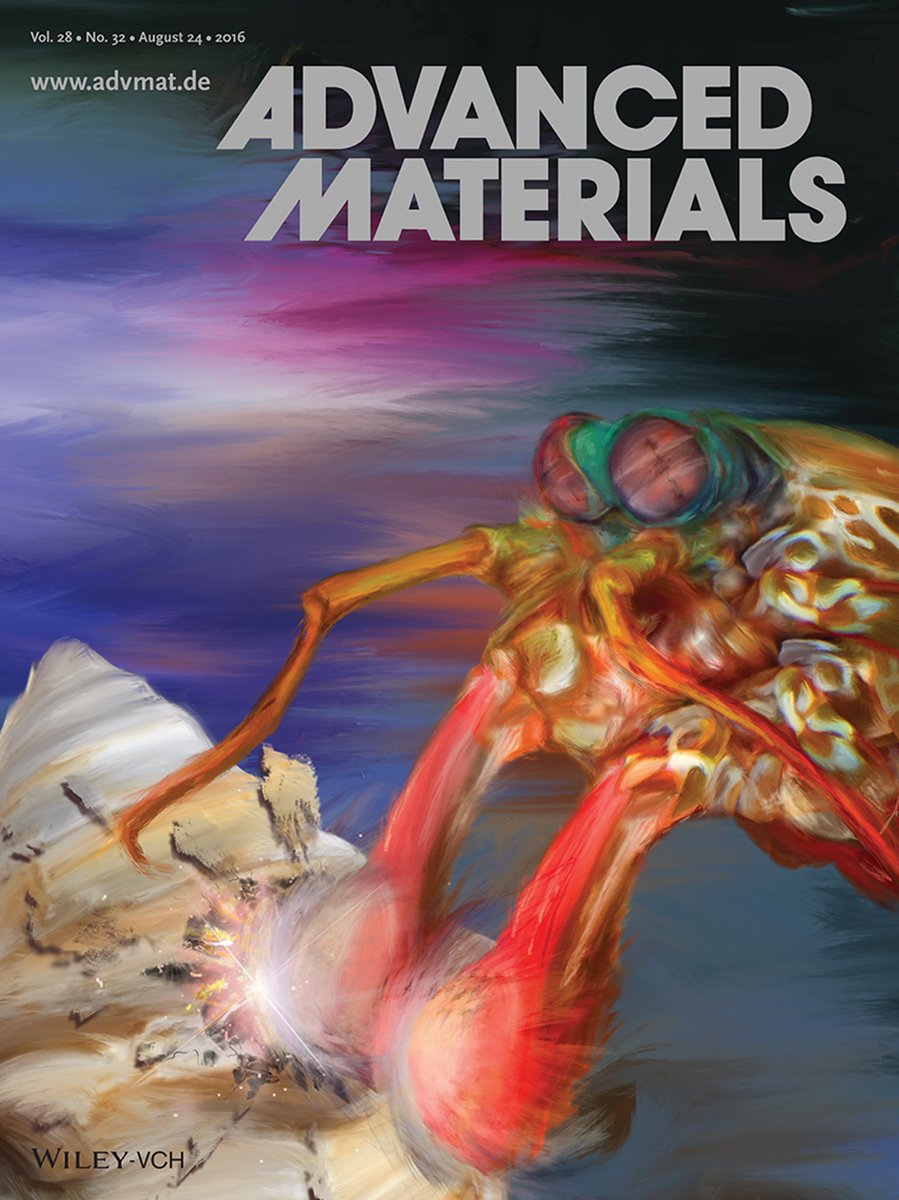 PhD Seus tweet media