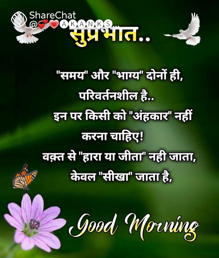 seth_kumud's tweet photo. 🙏🌺🌺🌺🌺 https://t.co/b4o6pYDS6S