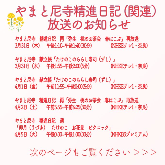 液化する スキップ 避難する E テレ やまと 尼寺 精進 日記 クルーズ パンフレット 飢えた