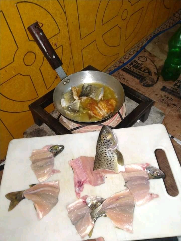 yousufbadur's tweet photo. Let's enjoy ☺️☺️
#Fish_fry 🐟🐟
@TroutFishingUSA https://t.co/CMaCqzrCMe