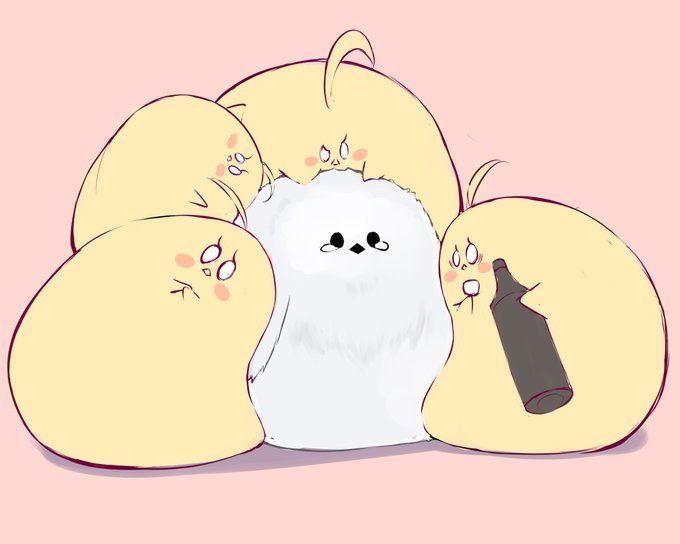 今月分の饅頭です🐥 