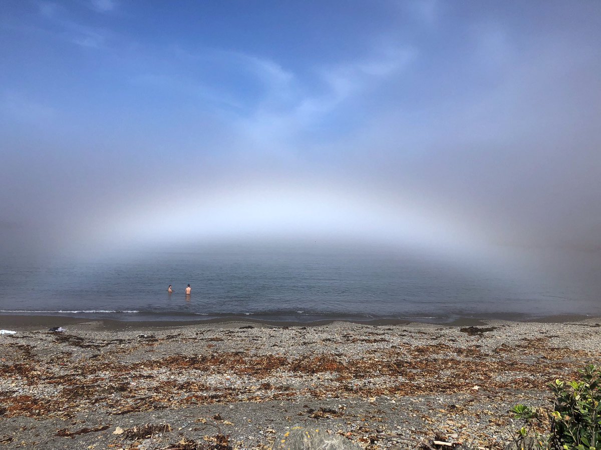 lynzsutt's tweet photo. Todays fogbow! https://t.co/DnJatEcPGE