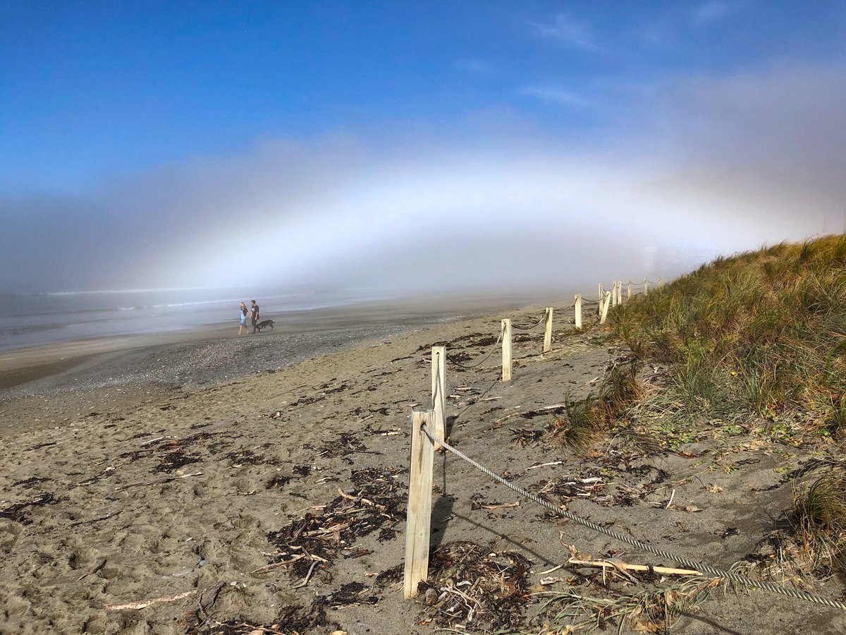 lynzsutt's tweet photo. Todays fogbow! https://t.co/DnJatEcPGE
