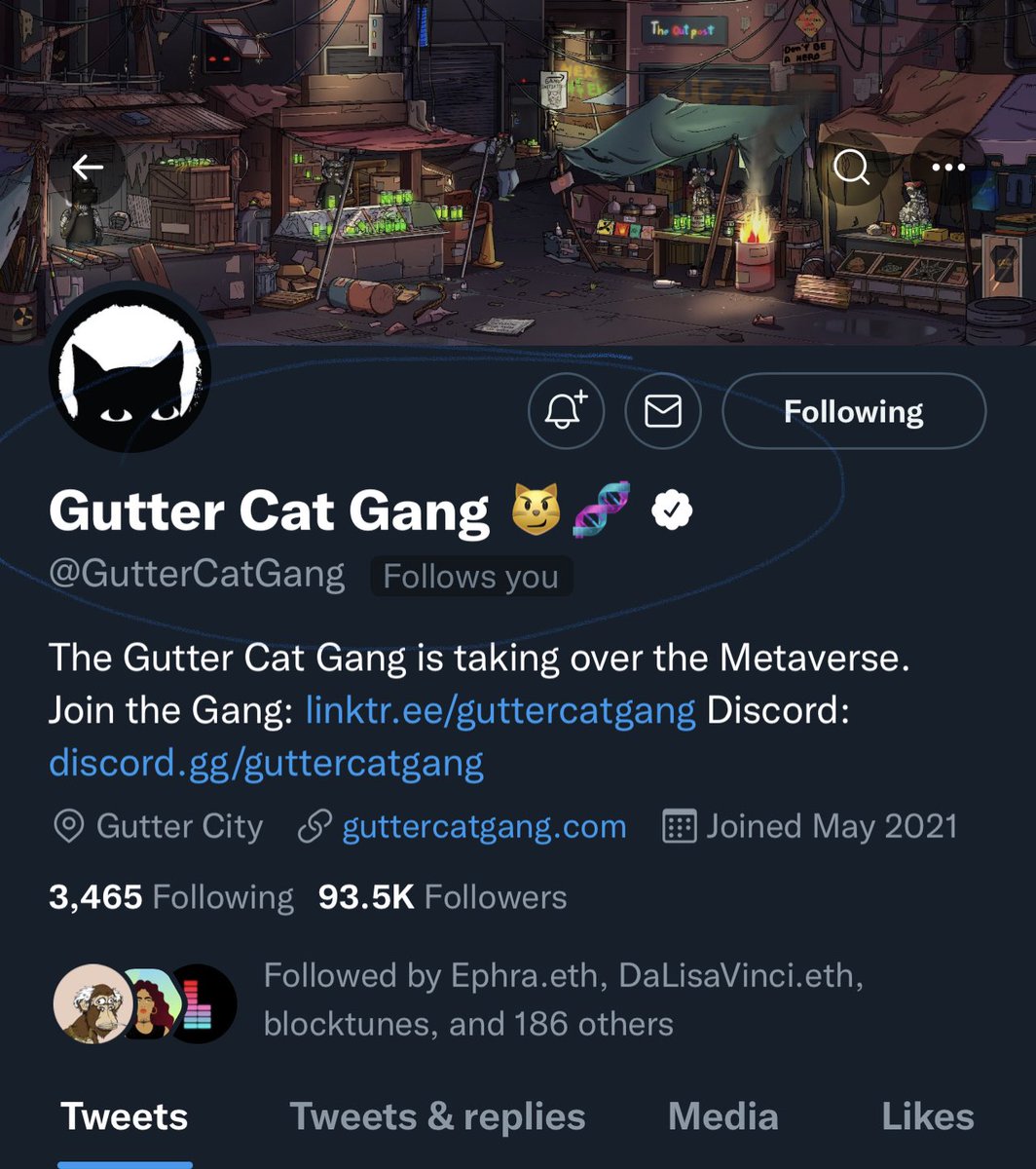 Honored! Thanks for the follow <a href="/GutterCatGang/">Gutter Cat Gang</a> 🎉 #GangGang