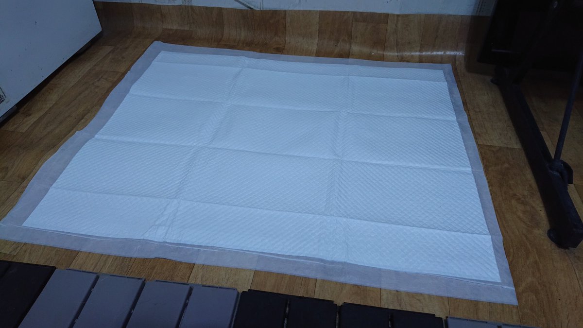 10kg 중형견 탄탄이 배변패드, 꾸준하게 사용하는 대형 배변패드입니다. 사이즈 76 * 90으로 넉넉해서 좋아요

# 강아지배변패드 #대형배변패드 #탐사배변패드

link.coupang.com/a/lz13l

"직접 구매했으며 쿠팡 파트너스 활동의 일환으로, 이에 따른 일정액의 수수료를 제공받습니다."