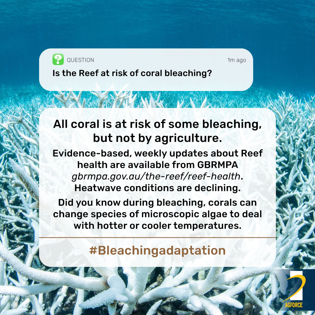 #nitrogenlevels #Nopesticides #Norunoff #reef #greatbarrierreef #reefscience #Queensland #agriculture #Farming #farmers #AgForceqld #agforce #AgForceLife #MythBusters #Nofertilisers #bleachingadaptation