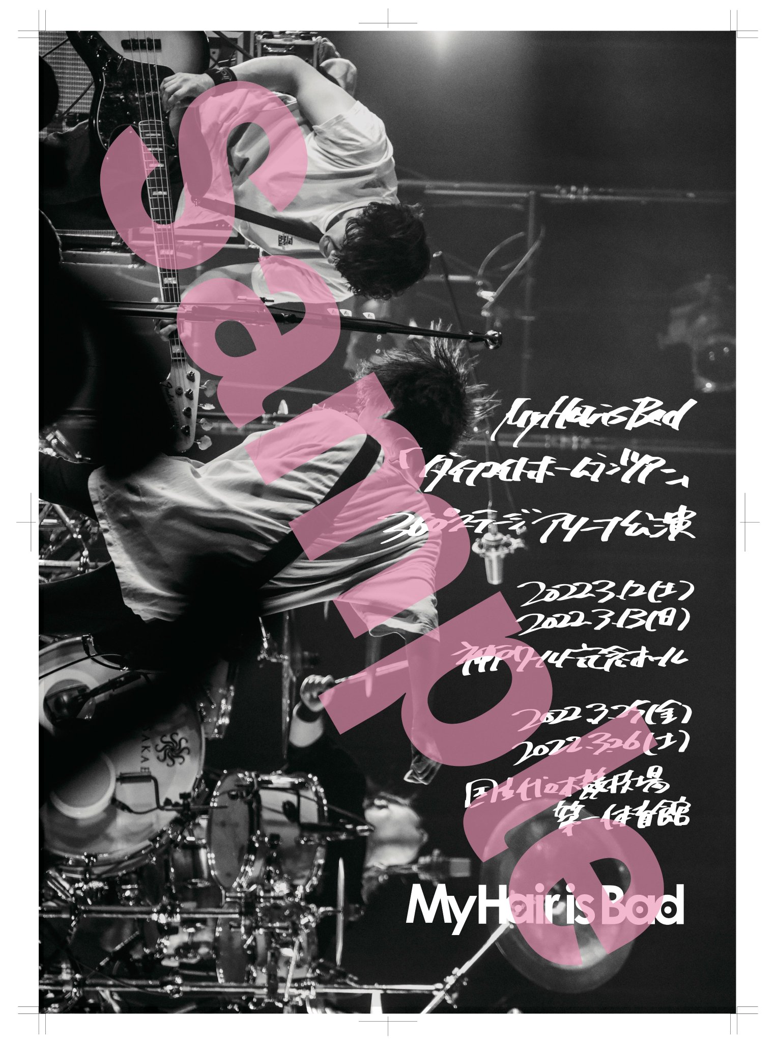 My hair is bad ポスター | chicshabu.com