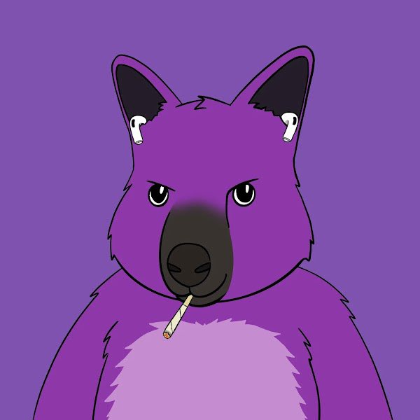 ToxGMI's tweet photo. I got my first roo for its rarity but the second fits my persona better. 
Either way the point is that purple Roo's are on the Elite tier 💯 @RooTroopNFT #RootyRoo https://t.co/DdhxIrevlU