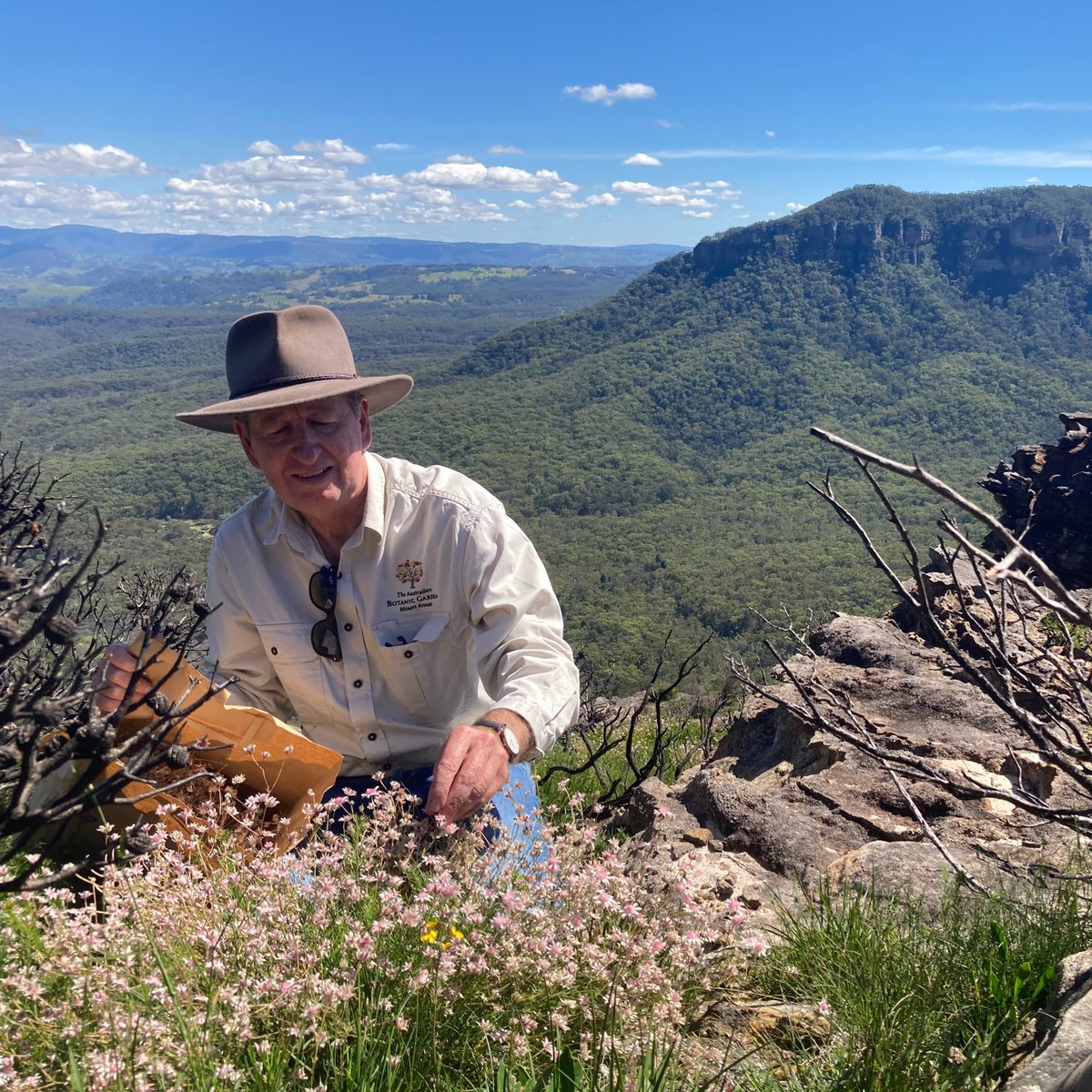 Australian Seed Bank Partnership tweet media