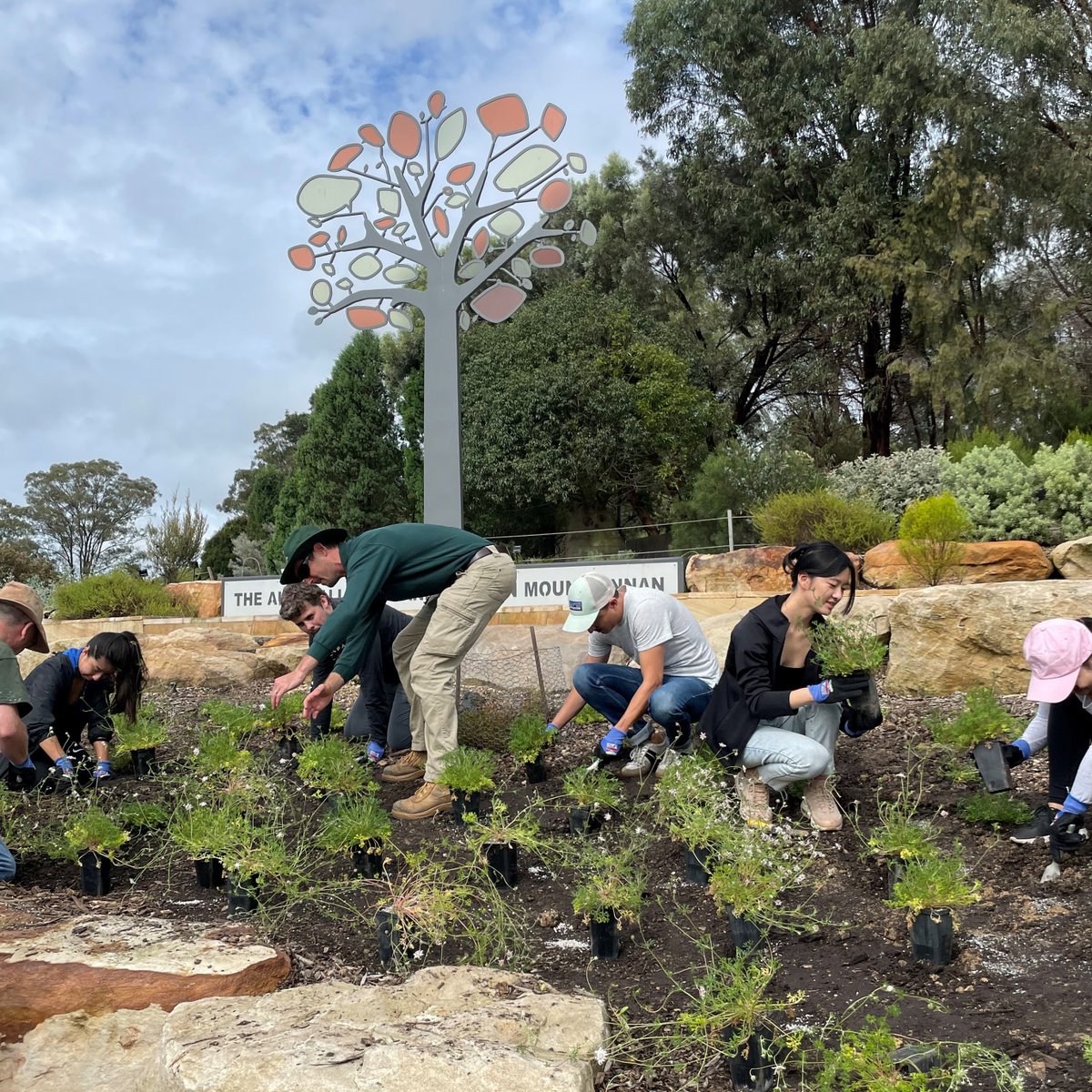 Australian Seed Bank Partnership tweet media