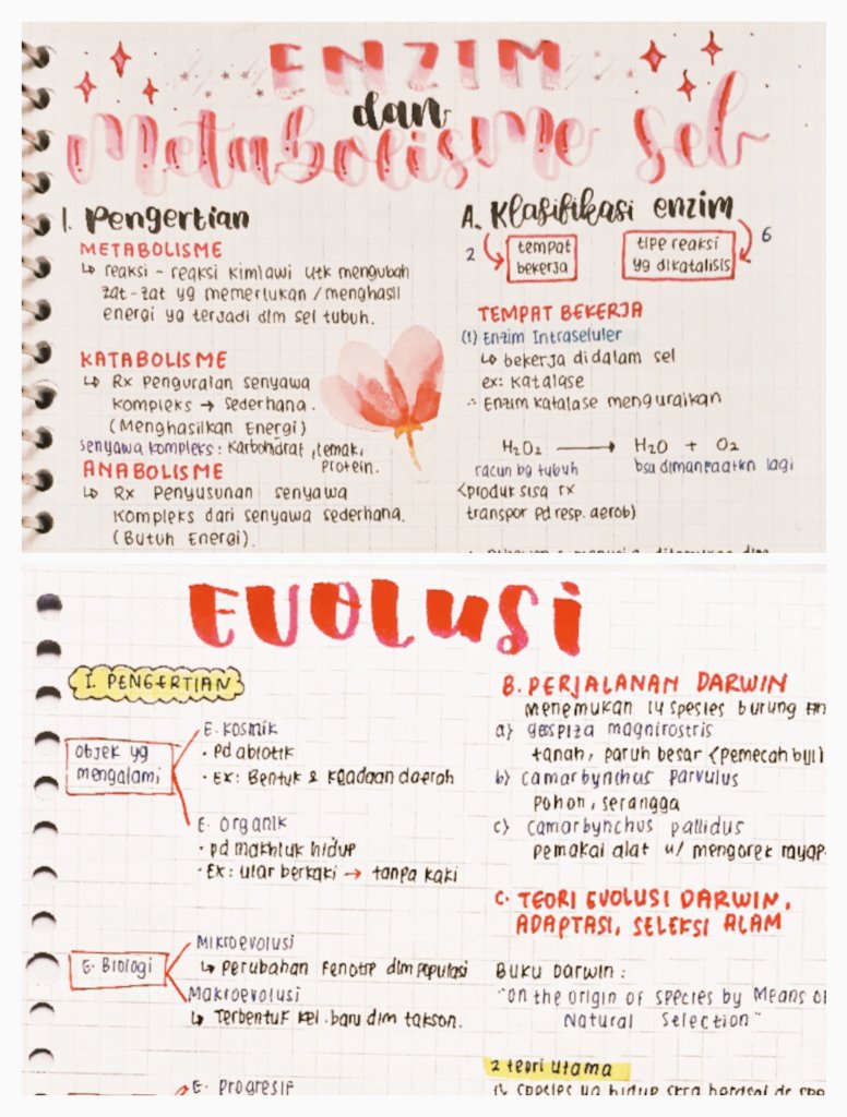 SaintekFocuss's tweet photo. [KUMPULAN CATATAN BIOLOGI]

🔥Materi Essensial UTBK 2022🔥

(A THREAD)

-Jangan lupa berbagi dengan RT yaa 😊- https://t.co/cK4ocxJPh2