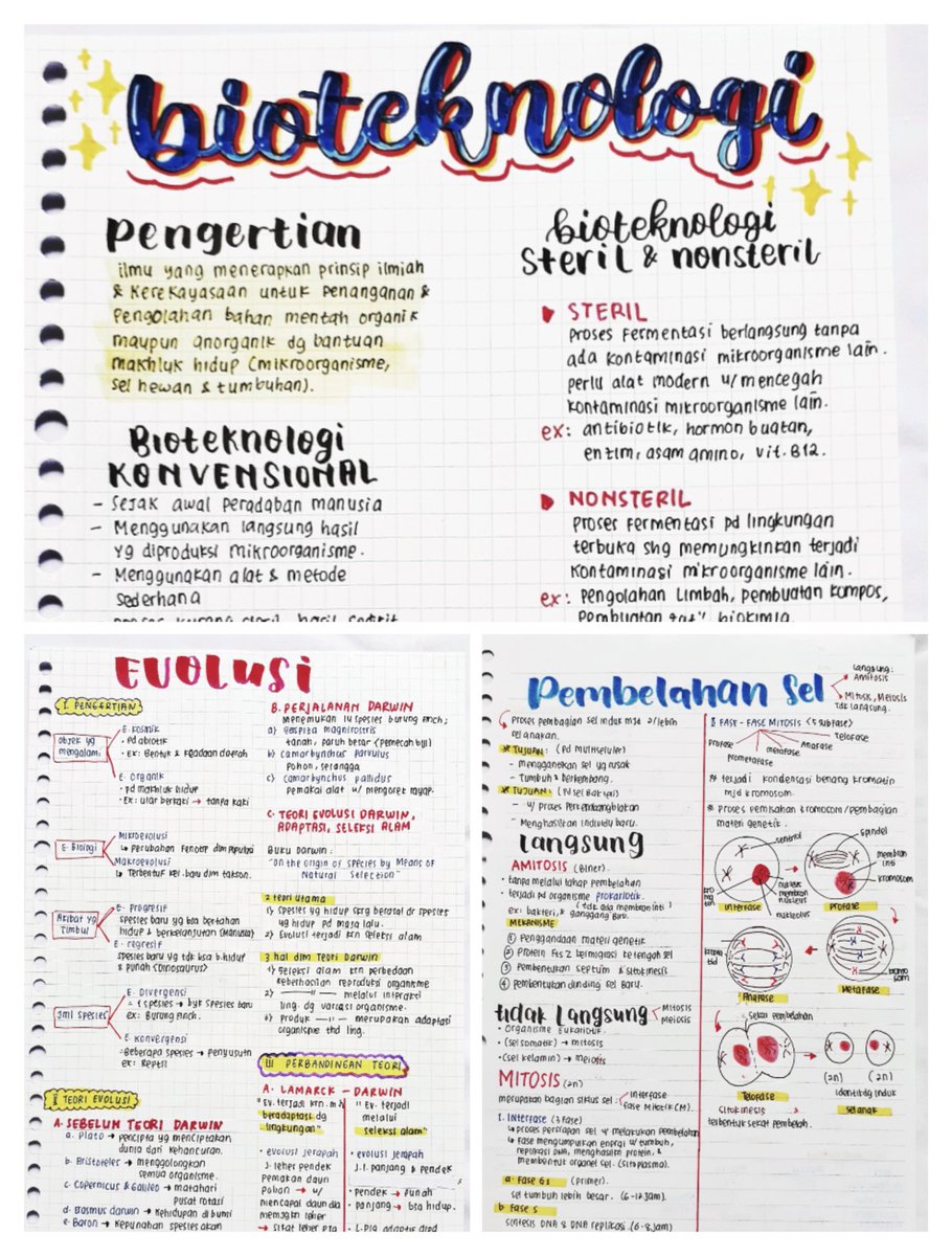 SaintekFocuss's tweet photo. [KUMPULAN CATATAN BIOLOGI]

🔥Materi Essensial UTBK 2022🔥

(A THREAD)

-Jangan lupa berbagi dengan RT yaa 😊- https://t.co/cK4ocxJPh2