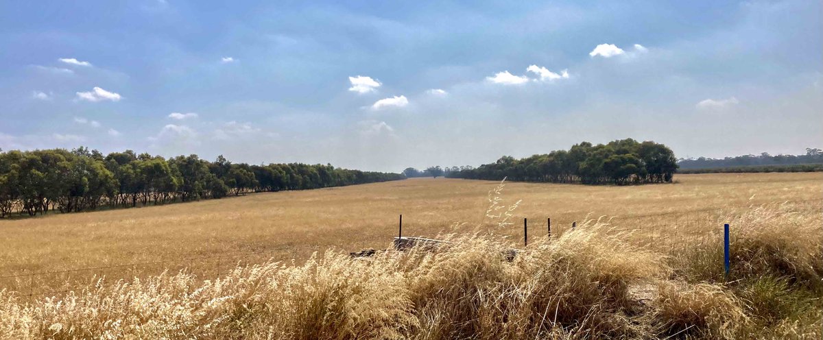 ANZ_bluenotes's tweet photo. A new collaborative project in Western Australia’s Wheatbelt region will be positive for the environment and local businesses. @ANZ_AU CEO @ElliottShayne outlines the details. https://t.co/WMIB6V3X7i https://t.co/czyi9DFGsM