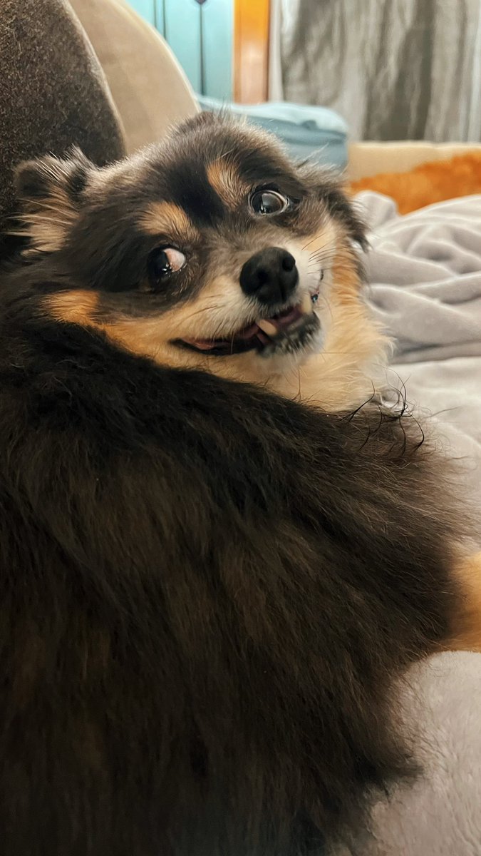 don’t tell penny I posted this photo of her on the internet she’ll never forgive me