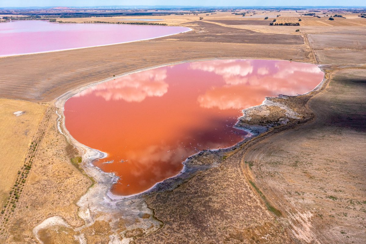 eamonwyss's tweet photo. A magnificent orange salt lake I found recently. I asked the farmer if I could roam around their property with my drone in search of salt lakes. They were very nice about it, showing me which direction to go. And a big pink lake in the background. #saltlakephotography #nftartist https://t.co/rym08cn8on