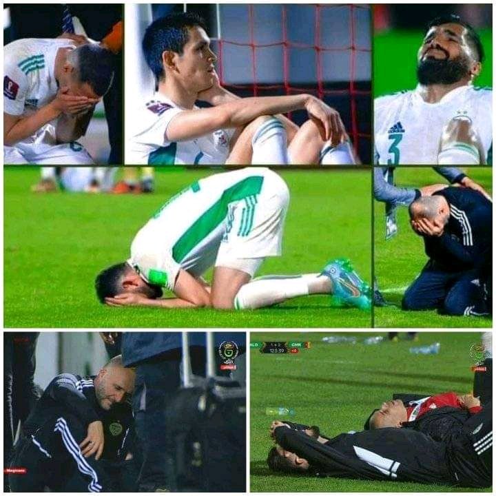 azeddineGang's tweet photo. @FIFAWorldCup @FecafootOfficie Tendance twitter :
#reply_match_algeria_cameroon
#الماتش_يتعاود https://t.co/fDR2m9FnTT