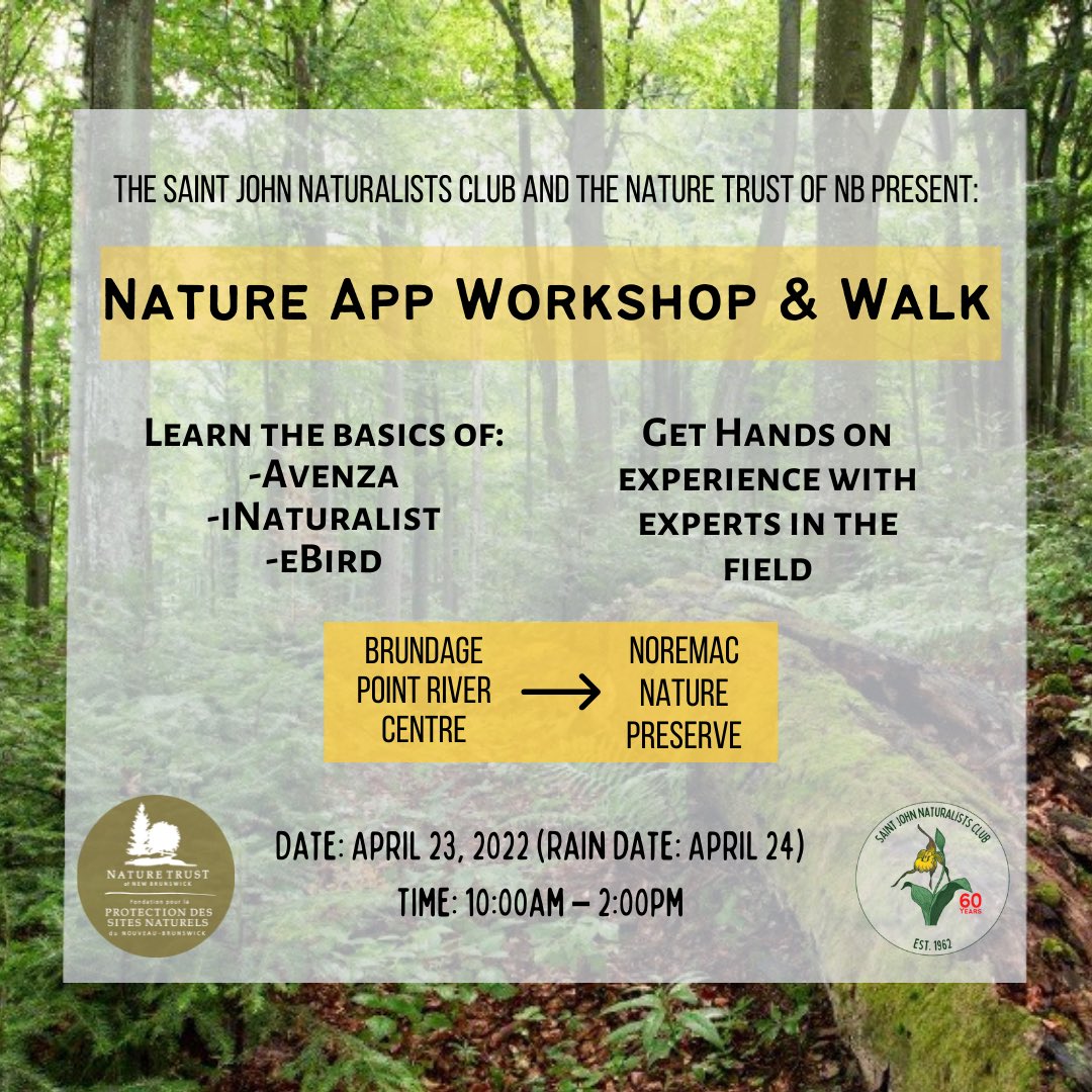 Nature Saint John (@naturesaintjohn) on Twitter photo Join the Nature Trust of New Brunswick and the Saint John Naturalists’ Club on April 23rd (Rain date: April 24th) for a fun and informative workshop at Brundage Point River Centre (Grand Bay-Westfield) and a walk at Noremac Nature Preserve! Link in bio. Join the Nature Trust of New Brunswick and the Saint John Naturalists’ Club on April 23rd (Rain date: April 24th) for a fun and informative workshop at Brundage Point River Centre (Grand Bay-Westfield) and a walk at Noremac Nature Preserve! Link in bio.