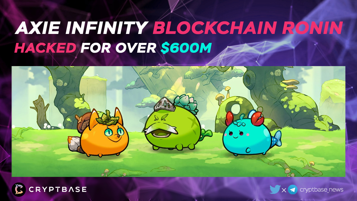 CryptBase Insights tweet media