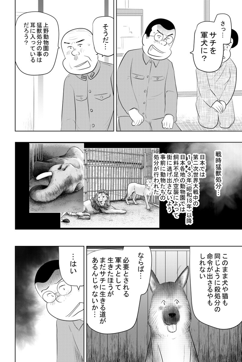 ③戦争めし『軍犬 幸の物語』;前編です
④につづきます
どうぞよろしくお願いいたします 