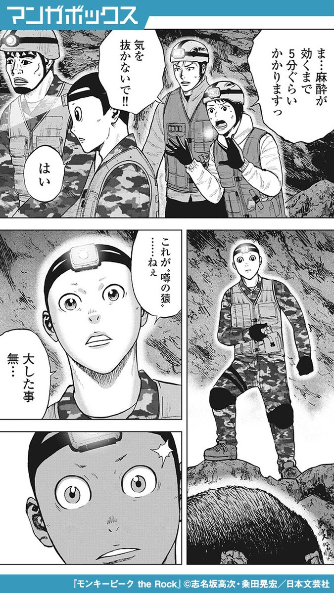 人気の新作 モンキーピーク The Rock 5 Fiqueisemcracha Com Br