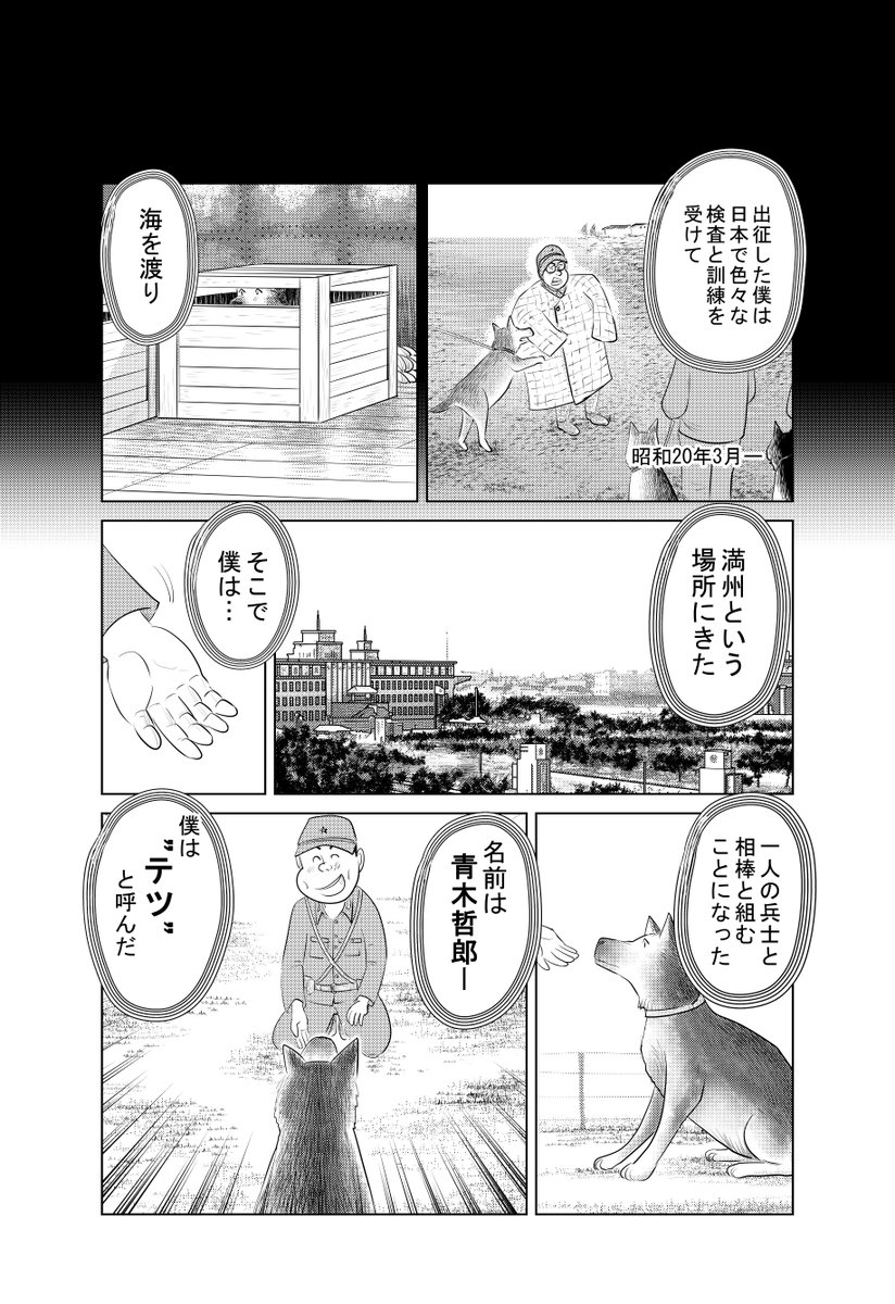 ⑤戦争めし『軍犬 幸の物語』;後編です
⑥につづきます
よろしくお願いいたします 