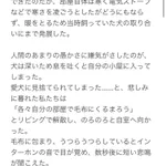 男が玄関に入ってきて…悲鳴を上げたのは男の方だったw