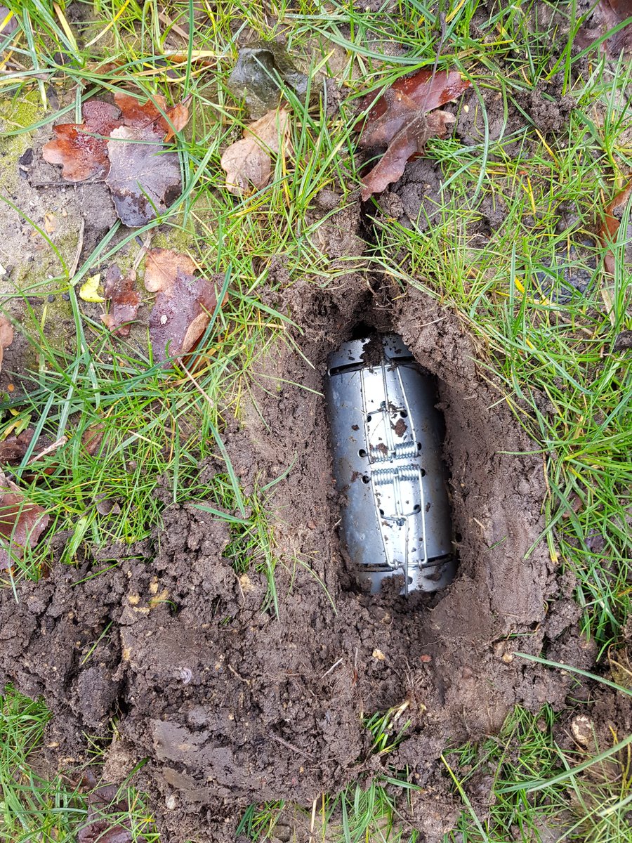 CatcherMole's tweet photo. A half barrel or dufus mole trap https://t.co/6VZ0mCGOJQ