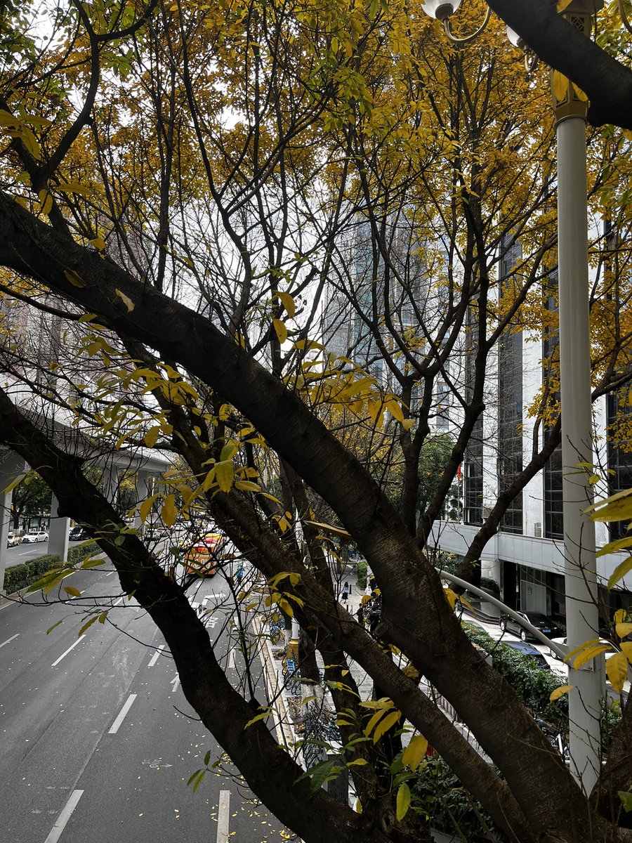 Van96337442's tweet photo. 冒个泡，吱个声 https://t.co/SQaxyStg9M
