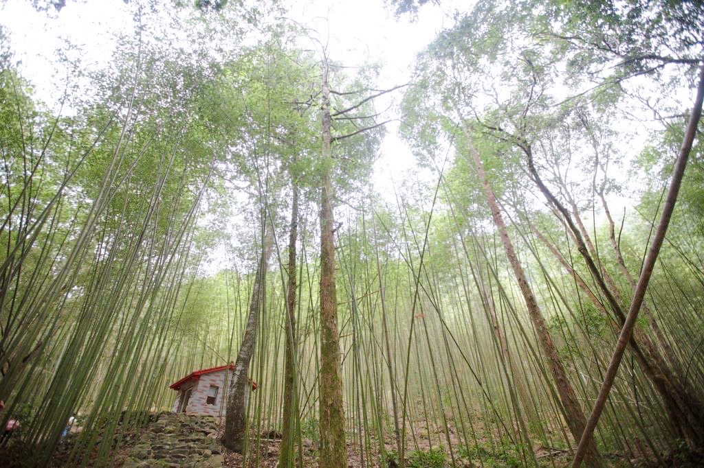 AndTaichung's tweet photo. Heping District, Taichung surrounded by mountains. Recreational areas with rich forest resources abound, including Basianshan National Forest Recreation Area with its diverse scenery and Daxueshan National Forest Recreation Area with its clouds and mist. https://t.co/TQ7AhKkA6Z