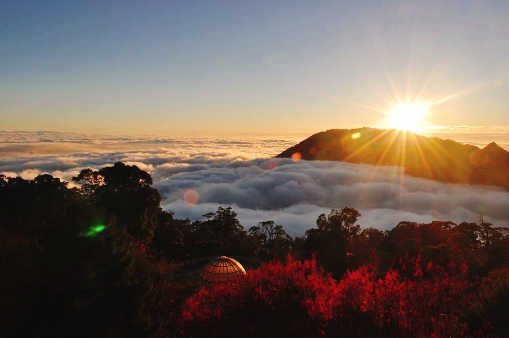 AndTaichung's tweet photo. Heping District, Taichung surrounded by mountains. Recreational areas with rich forest resources abound, including Basianshan National Forest Recreation Area with its diverse scenery and Daxueshan National Forest Recreation Area with its clouds and mist. https://t.co/TQ7AhKkA6Z