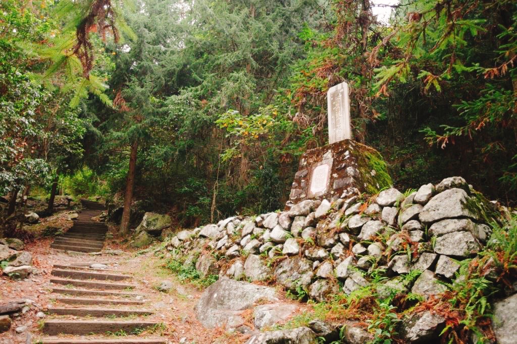 AndTaichung's tweet photo. Heping District, Taichung surrounded by mountains. Recreational areas with rich forest resources abound, including Basianshan National Forest Recreation Area with its diverse scenery and Daxueshan National Forest Recreation Area with its clouds and mist. https://t.co/TQ7AhKkA6Z