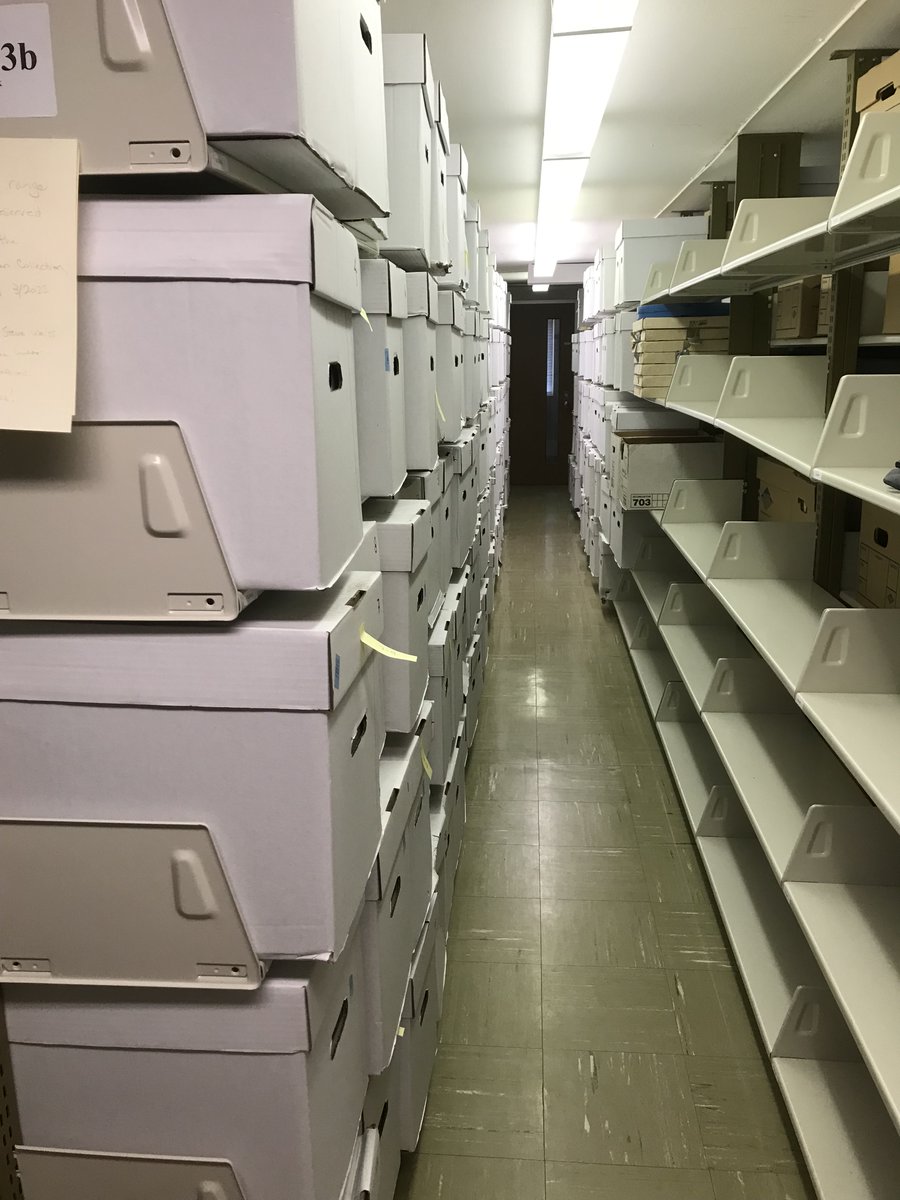 SFolklife's tweet photo. We're thrilled to share news of the arrival of the David Grisman Collection. @David_Grisman is an innovator, merging jazz, bluegrass and other traditional musics and as a composer, producer, and co-founder of the Acoustic Disc record label @SFolklife @WilsonLibUNC @UNCLibrary https://t.co/YAEpL8GbXU