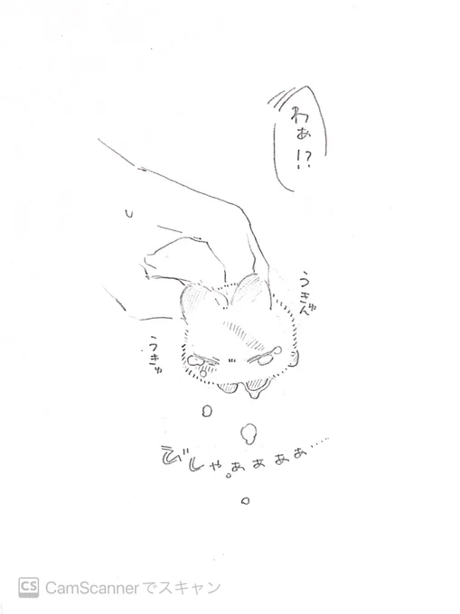 びしゃびしゃうさぎ 