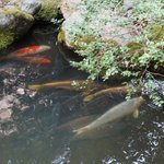 有限会社宿泊トータルサポート【札幌市】|OTA集客をさらに伸ばしたい旅館・ホテルお助け隊のツイート画像