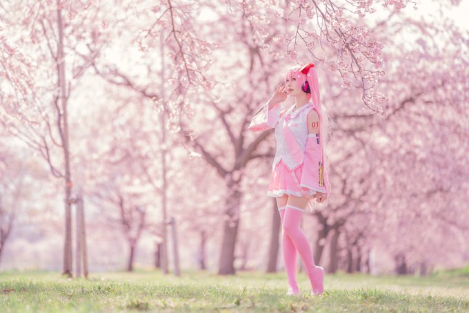 コスプレイヤーしらゆき（しらゆきミク）のTwitter画像14