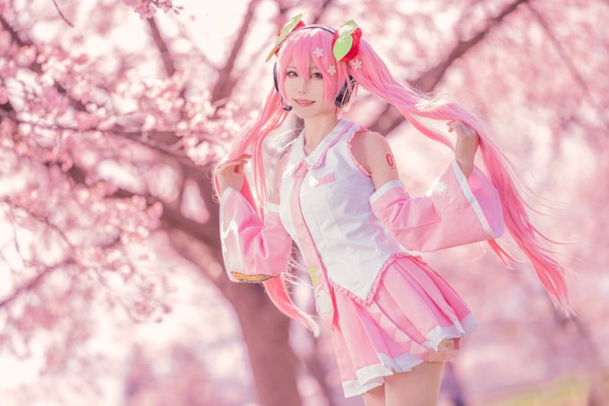 コスプレイヤーしらゆき（しらゆきミク）のTwitter画像15