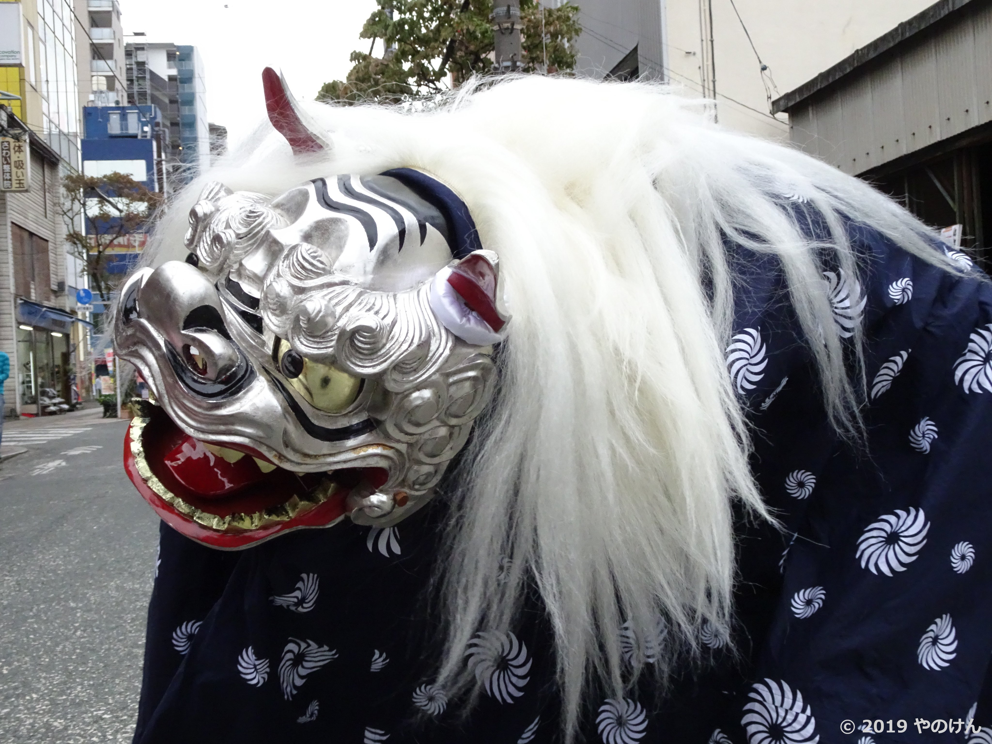 獅子舞写真bot 本町囃子連さんの銀獅子 19年 みずき通りの秋フェスティバルにて 投稿 やのけんさん T Co 1aoezptyxc 獅子舞 八王子市 祭囃子 銀獅子 T Co Xyrkxxoiqd Twitter