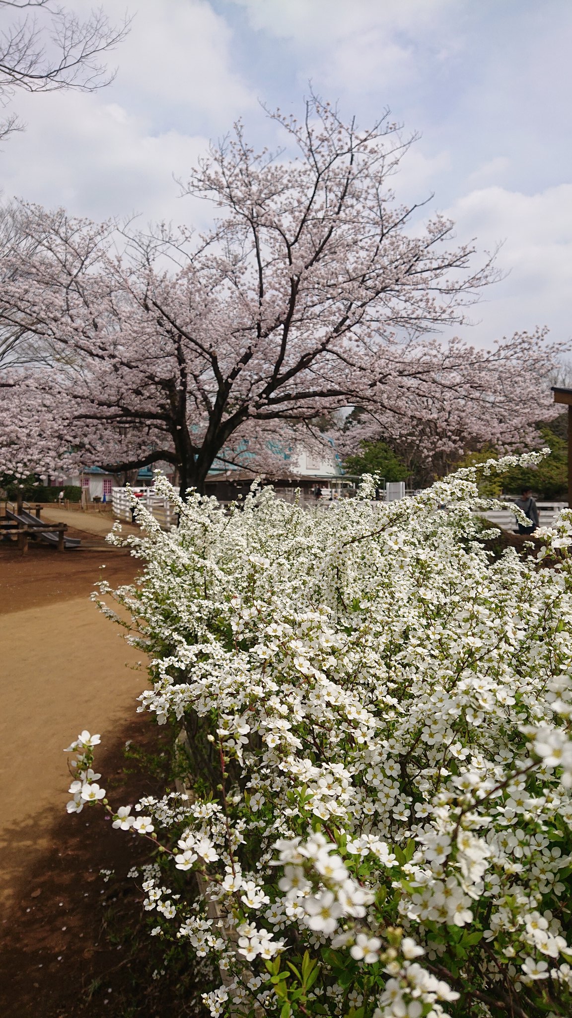 アンデルセン公園 Twitter Suche Twitter