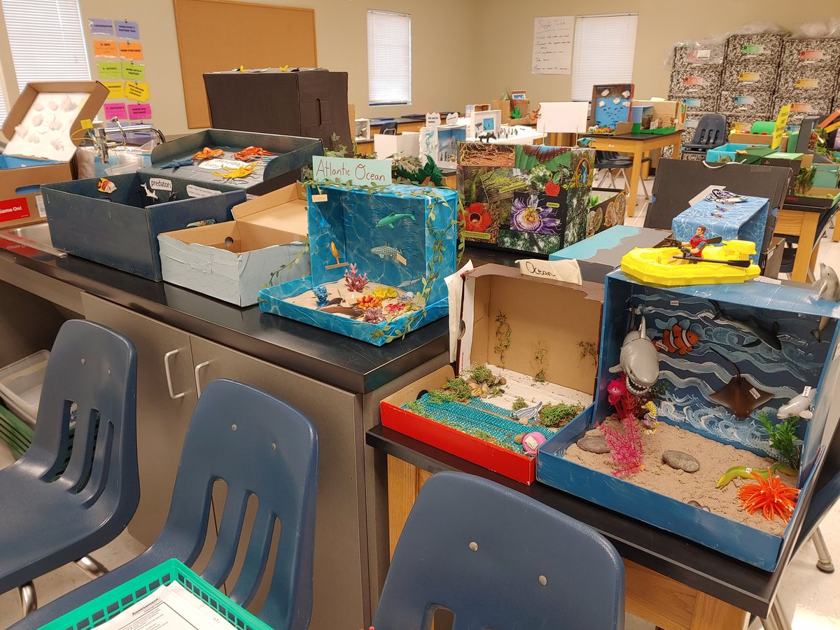 notamagicsklbus's tweet photo. So excited for my students habitat presentations tomorrow. They have worked so hard and are excited to show off to our lower grades. #lsscience https://t.co/1pj4PTTYZF