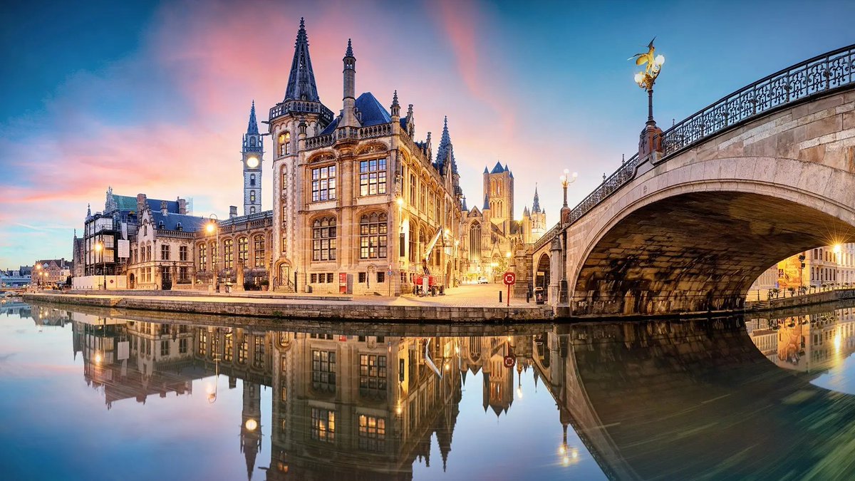 TREECAPITAL tweet media