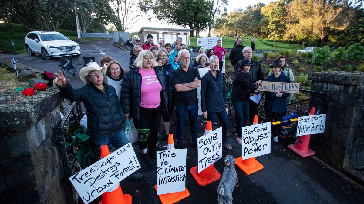StreetTreck's tweet photo. RT @nzherald: #Court #refuses to allow 345 #exotictrees to be #replaced with 1300 #native ones. #NewZealand  https://t.co/6JUr4LY2pI https://t.co/DQ543ifOIR