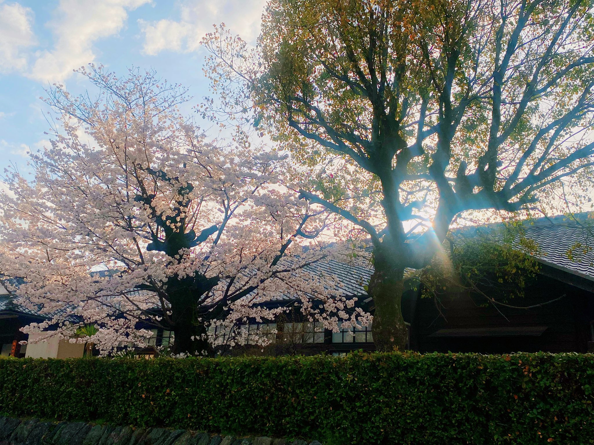 Uzivatel ガールズ テレビ朝日 凪咲とザコシ 4月度endテーマ Na Twitteru 今日です 毎週木曜19 00 19 30放送 Fmはしもと 81 6mhz ガールズの人生はミラーボール スマホならサイマルラジオやtunein Radio等のアプリで Pcならhpから T