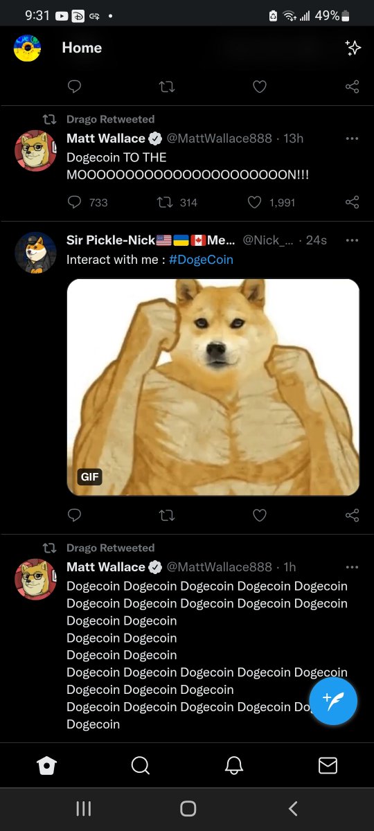 Just gonna leave this here sir pickle got it <a href="/dogeofficialceo/">Sir Doge of the Coin ⚔️</a> 

#dogefam #dogecoin