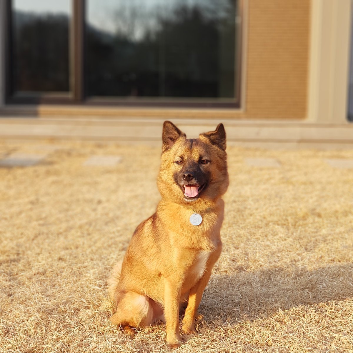 MyLittleTanTan's tweet photo. 슬쩍,,,🐶 https://t.co/HbDs7k2ptX