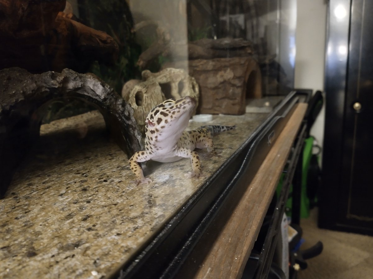 Nyama (@percy_technic) on Twitter photo 