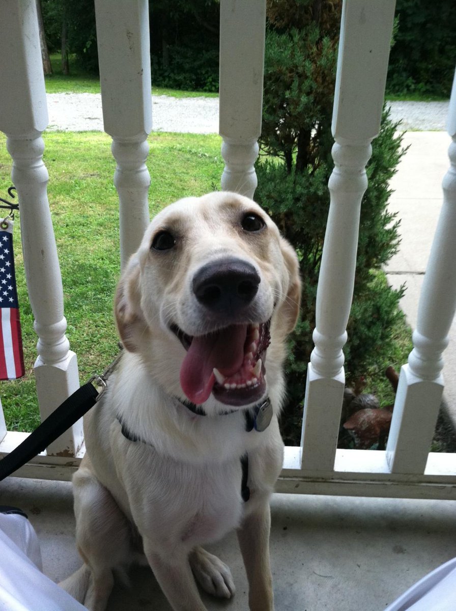 joshkrissinger's tweet photo. @ericaleann_ Buddy! https://t.co/990xOEsCRh