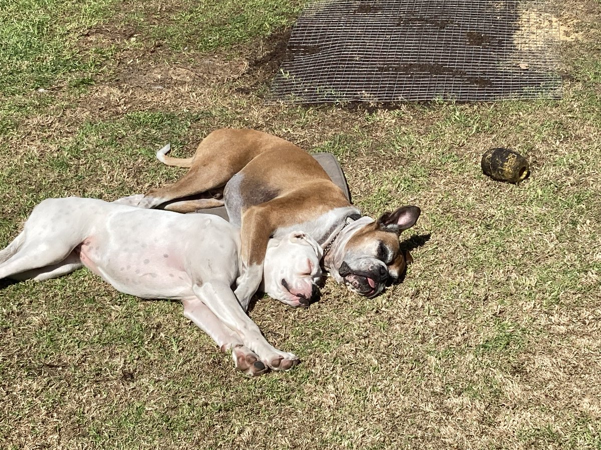 mully1968's tweet image. What do you say❤️