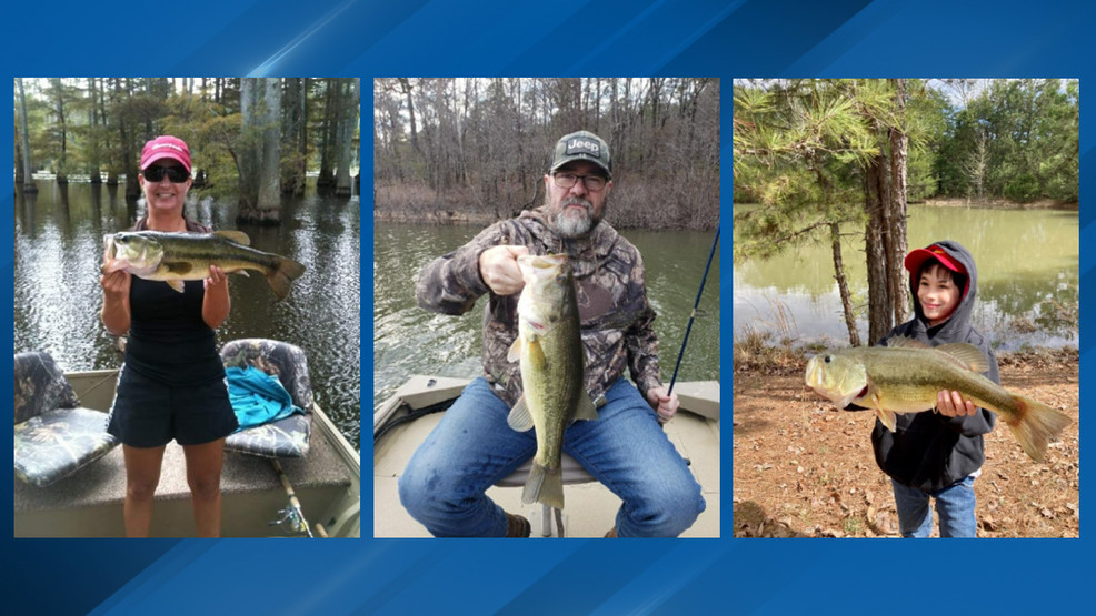 KATVNews's tweet image. #KATV is proud to present "#WednesdayWhoppers."Do you have a picture with your biggest and best fish? Whether they're bass, trout, catfish, panfish, walleye, or even an alligator gar, we want to see them!
katv.com/news/local/chi… | #arnews
