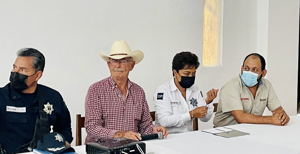 josemcalderonc's tweet photo. En coordinación con la secretaría de seguridad pública Dalia Baños Noyola y Don Gabriel Cue nos reunimos con 22 ganaderas locales del la Unión Ganadera Regional General Del Norte De Oaxaca. Juntos construimos estrategia a favor de los ganaderos 👍🏼🤠🐴 @gabriel_cue_navarro https://t.co/WSqQtHKFz3